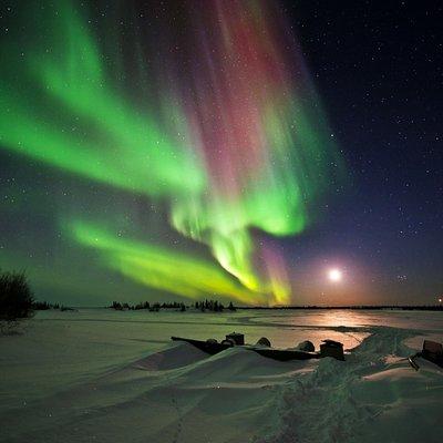 Yellowknife Tours - Aurora by bus