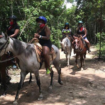 Horseback ride with atv, 6 zip lines, swim in cenote with lunch and transportation