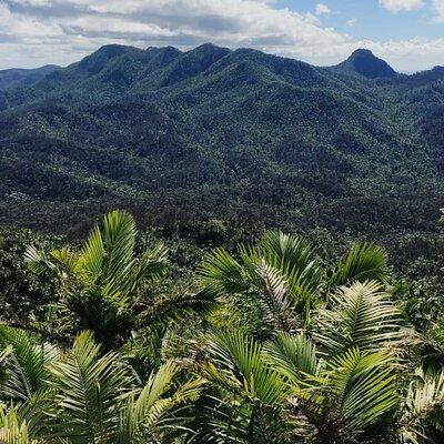 Casual One: El Yunque Rainforest, Waterslides, and Beach Tour