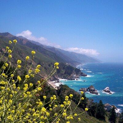 California Coast Big Sur Monterey to Los Angeles - 2 Day 