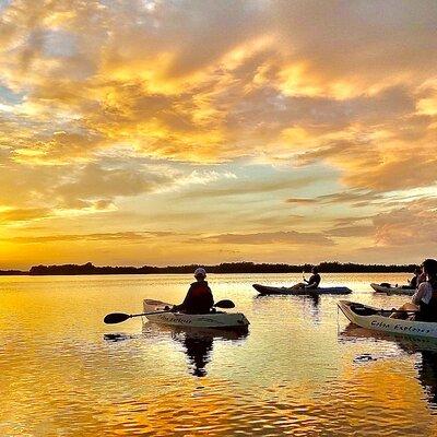 Mangrove Tunnels, Manatee, and Dolphin Sunset Kayak Tour with Fin Expeditions