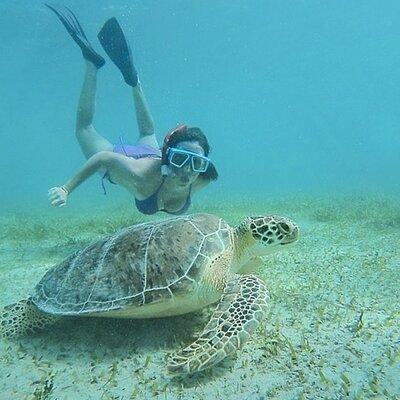 Snorkeling Tour to Vieques Island
