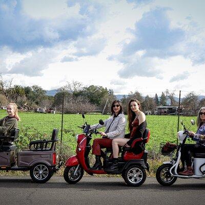 3-Hour Guided Wine Country Tour in Sonoma on Electric Trike