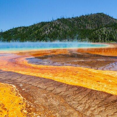 Best of Yellowstone National Park from Gardiner - Private Tour