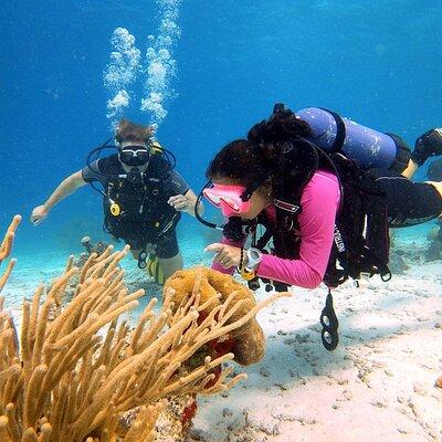Discover Scuba Diving Aruba
