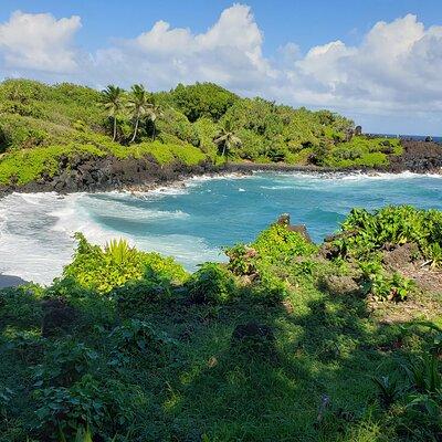 Full-Circle "Reverse" - Luxury Road to Hana Tour from West Maui