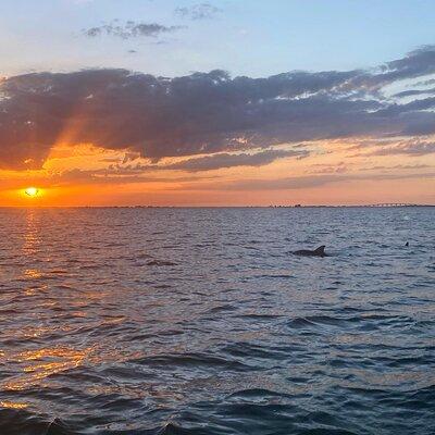 Sunset and Dolphin Cruise around Fort Myers Beach