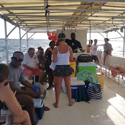 Grand Cayman - Bioluminescent Bay Tour