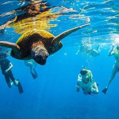 Kauai's Ultimate South Island Zodiac Boat Snorkel Adventure