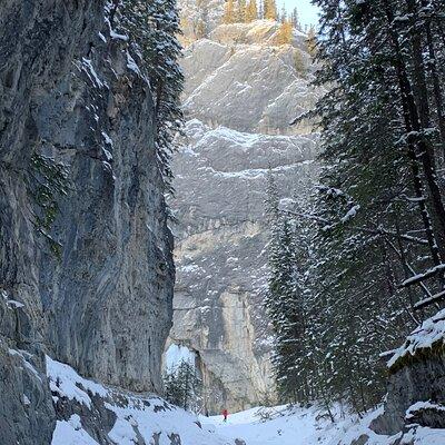 Canmore: Canyons & Cave Paintings Hiking Tour - 2.5hrs