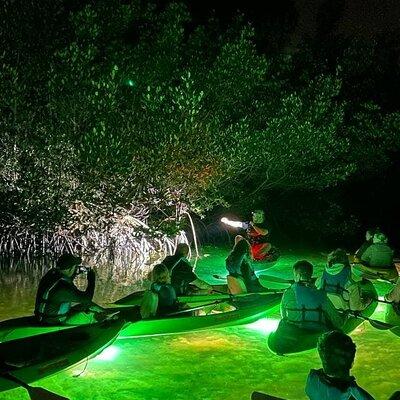 Sharkey's LED illuminated Night & Sunset Tour on Glass Bottom Kayaks in Sarasota