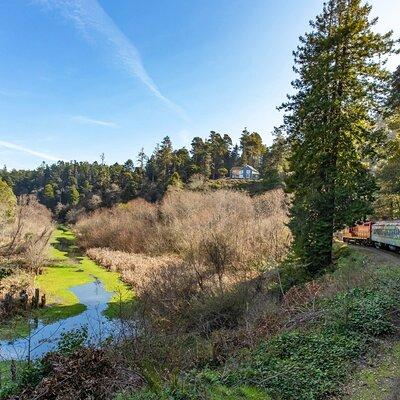 Skunk Train: Pudding Creek Express from Fort Bragg