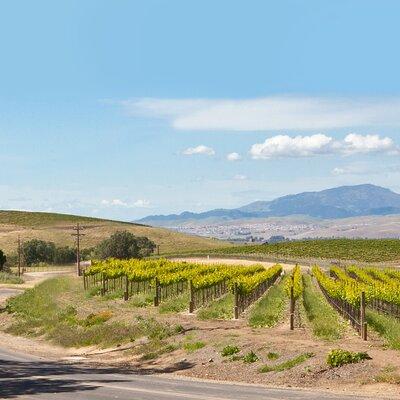 4 Hour Livermore Valley Wine Tour