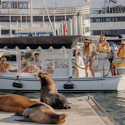 Private Luxury E-Boat Cruise with Wine, Charcuterie & Sea Lions Spotting