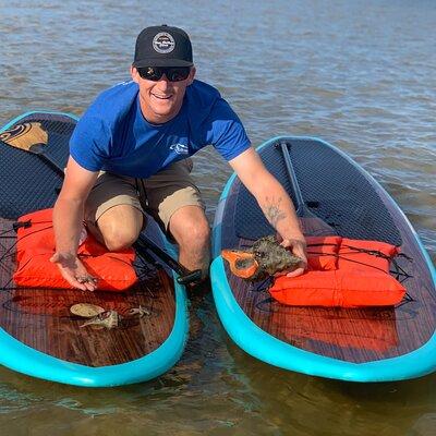 Dolphin and Manatee Tour of Marco Island by Kayak or SUP