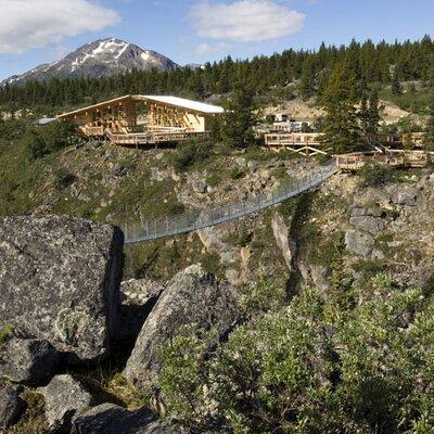 Summit Experience & Yukon Suspension Bridge Tour