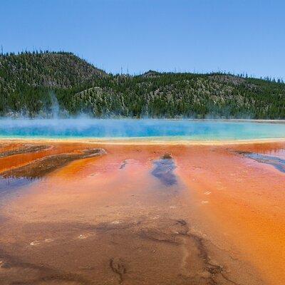 Full Day Yellowstone Nat'l Park Tour From West Yellowstone