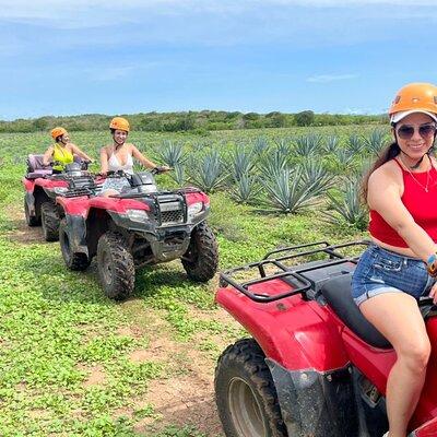 Jungle and beach ATV tour + lunch + tequila tasting