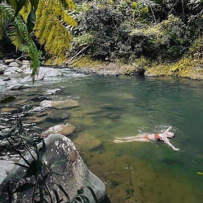 El Yunque National Forest Guided Tour with Transport