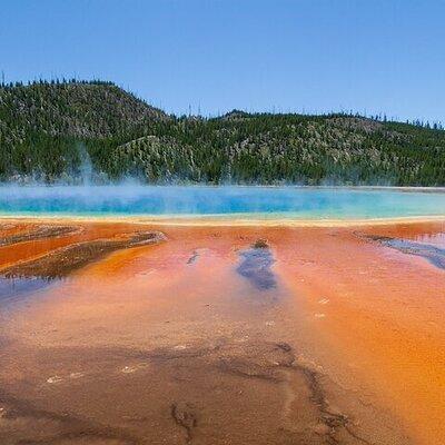 Best Of Yellowstone Full Day Nat'l Park Tour From Gardiner