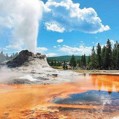 Yellowstone National Parks 3 Day Tour from Salt Lake City