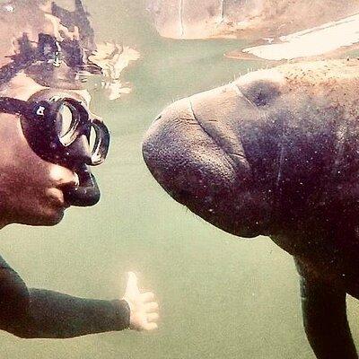 Manatee Snorkel Tour from American Pro Diving Center