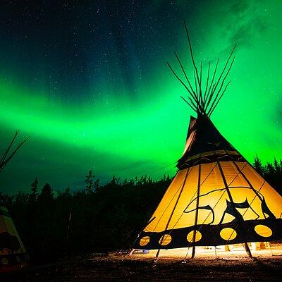 Discover Whitehorse with Northern Lights and Yukon Wildlife Tour