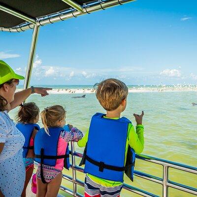 Marco Island Wildlife Sightseeing and Shelling Tour 