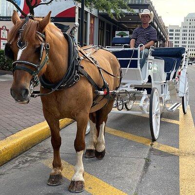 Private Carriage Tour of Galveston