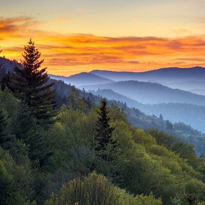 4-Day Tennessee Great Smoky Mountain Tour from New York 