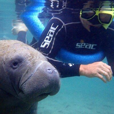 The 'OG' Manatee Snorkel Tour with In-Water Guide/Photographer
