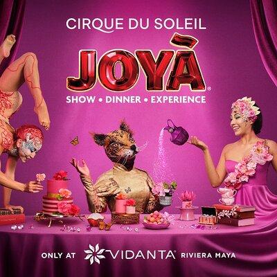 Cirque du Soleil JOYA Admission Tickets