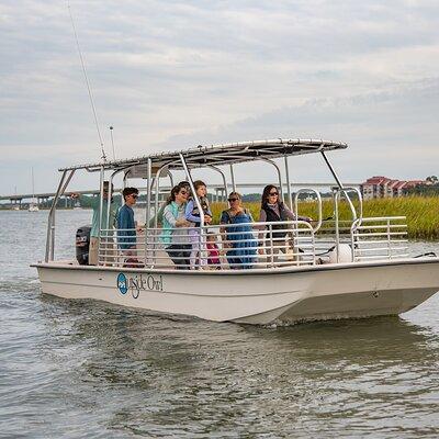 90 Minute Hilton Head Dolphin and Nature Cruise