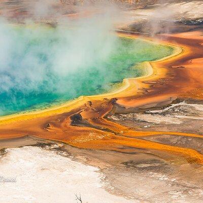 Full-Day Tour in Yellowstone National Park