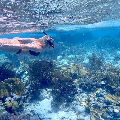 Snorkeling private charter incl. Captain/guide Marine Park 
