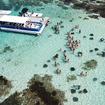 3-Hours Snorkeling Activity in Stingray City - Transfer Included