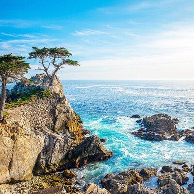 Monterey: Ocean Paradise, Trolley and Walking Tour