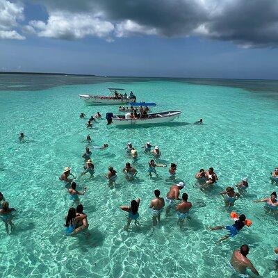 Saona Island Premium Discovery Tour from Punta Cana or Bayahíbe