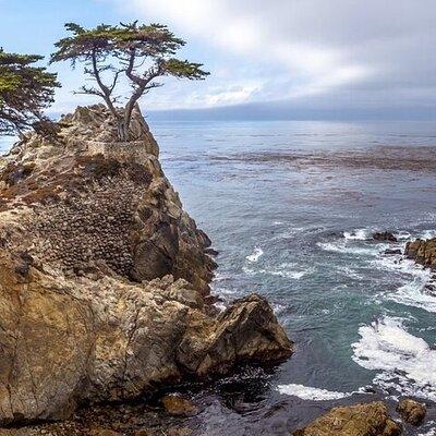 Monterey, Carmel, 17 Mile Drive, Big Sur Rocky Point 6 hrs Tour