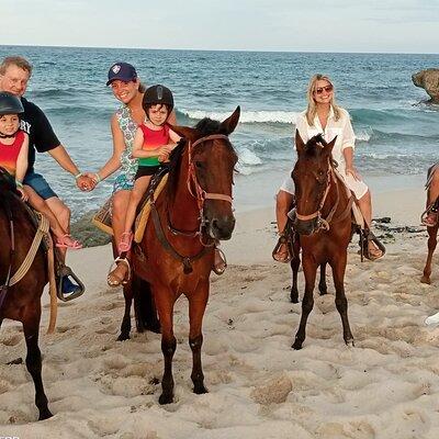 Aruba Horseback Riding: Trails in Protected Areas & Urirama Beach