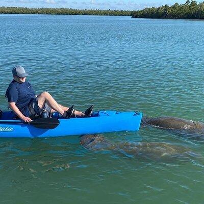 Kayak Tour Adventure Marco Island and Naples Florida