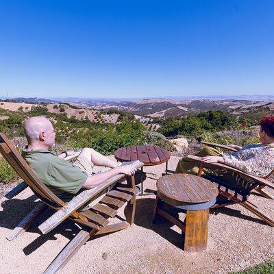 All-Inclusive Full-Day Wine Tasting Tour of Paso Robles