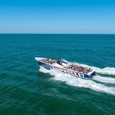 Sea Rocket Speed Boat & Dolphin Cruise in Ocean City