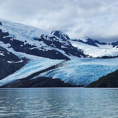 Valley of Glaciers Experience with Portage Glacier Cruise and Wildlife Tour