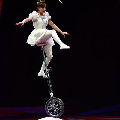 Amazing Acrobats: Grand Shanghai Circus Show in Branson