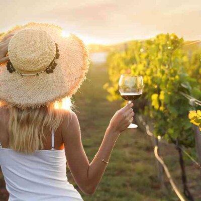 Santa Barbara Wine Country Vineyard & Village Shuttle & Tour