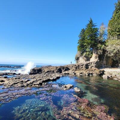 2 Day Private Adventure Tour & Glamping on Vancouver Island
