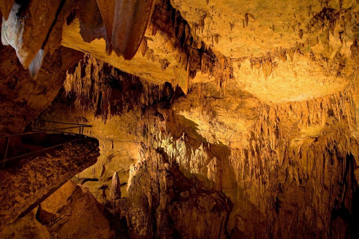 Rio Camuy Cave Park (Parque Nacional de las Cavernas del Río Camuy)