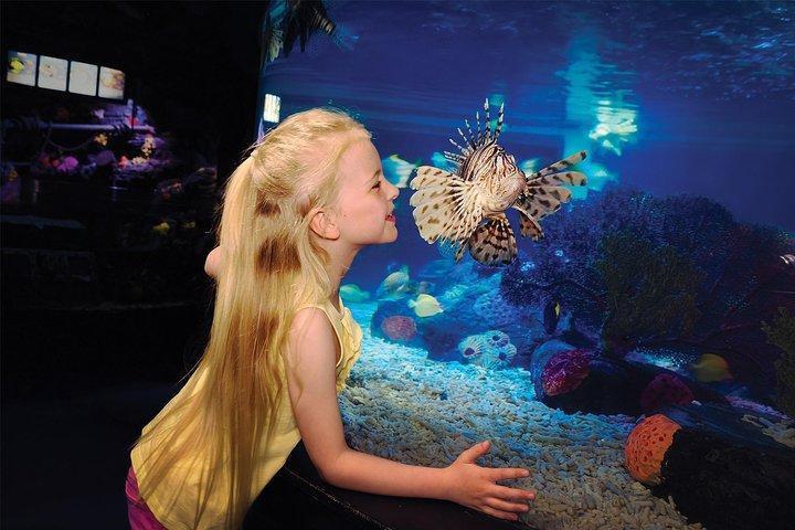 SEA LIFE® San Diego Aquarium
