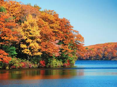 New England Fall Foliage